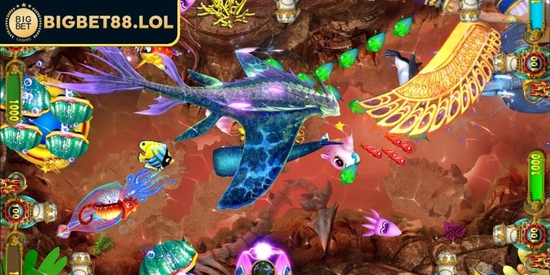 Kích hoạt combo khi đàn cá xuất hiện